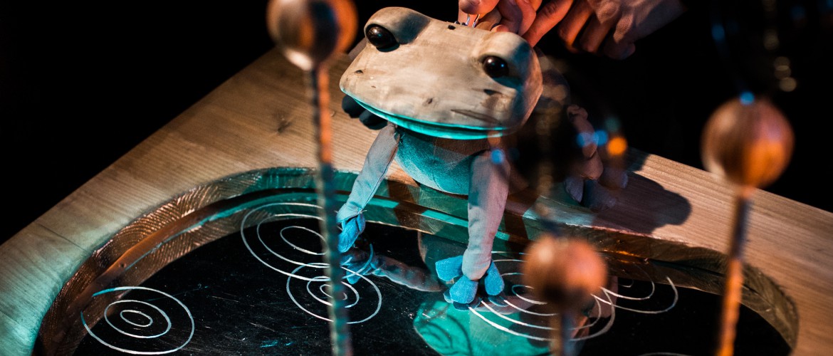 "Pomelo jest zakochany... w żabie, deszczu i nie tylko", Teatr Fraktal